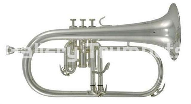 Roy Benson Fliscorno FH-302S - Plateado