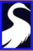 Imagen del grupo