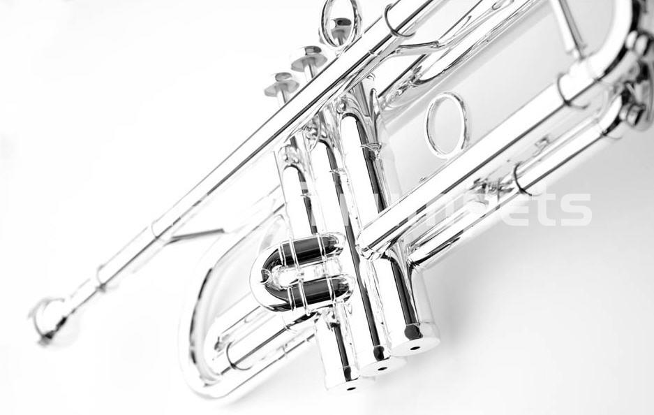 Schagerl "JM1" Edición James Morrison - Plateada