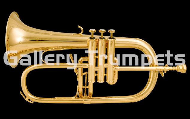 Schilke Fliscorno Plateado