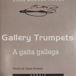 A Gaita Galega - Xoan Manuel Pintos - Imagen 1