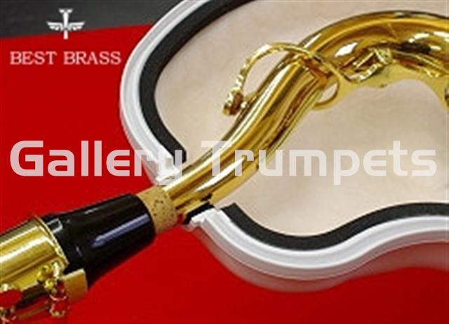 Best Brass e-Sax - Sordina Electrónica Saxo Alto - Imagen 4