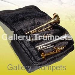 Brass Bags Estuche 4 Trompetas - CUERO - Imagen 1