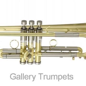 Edwards X-Edwards X-13 Trompeta Bb Lacado Satinado - Imagen 1