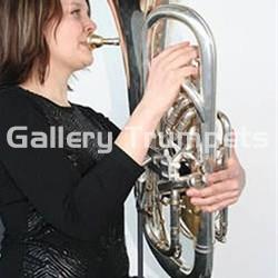 ERGObrass Soporte Bombardino - Imagen 1