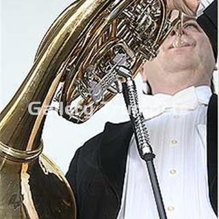 ERGObrass Soporte Trompa (Tipo A+B) - Imagen 1