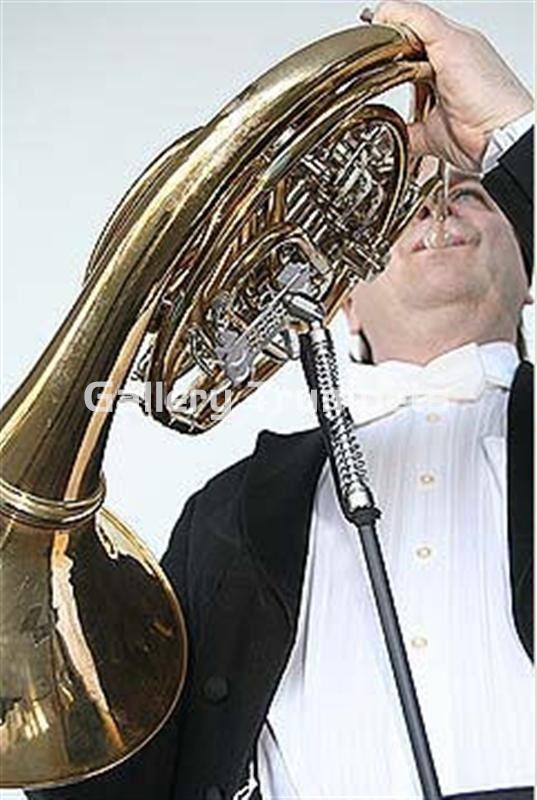 ERGObrass Soporte Trompa - Imagen 1