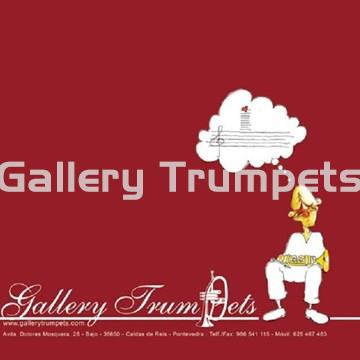 Gallery Trumpets Gamuza Microfibras - Imagen 1