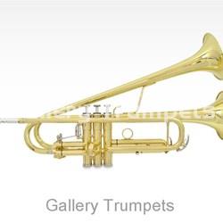 Gallery Trumpets Trompeta Doble Campana - Imagen 2