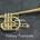 Gallery Trumpets Trompeta Performance Bb - Imagen 1