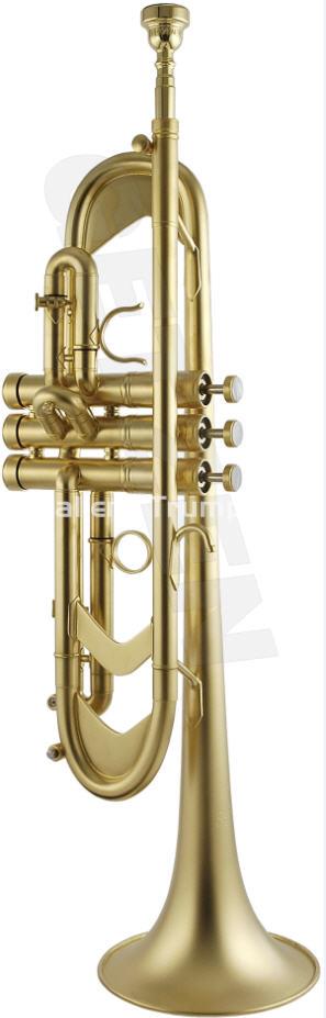 Getzen Genesis Custom Trompeta Bb - Imagen 1