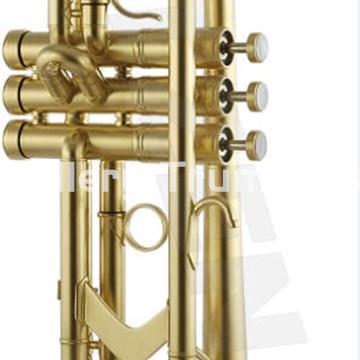 Getzen Genesis Custom Trompeta Bb - Imagen 1