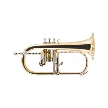 J. Michael Fliscorno FG-500 Lacadao - Imagen 1