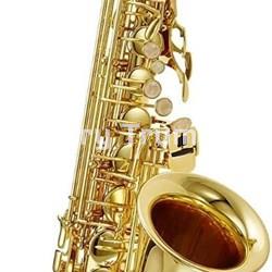 J. Michael Saxo Alto Mod. 500 - Imagen 1