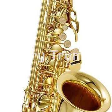 J. Michael Saxo Alto Mod. 500 - Imagen 1