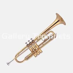 J. Michael TR200 Trompeta Bb - Imagen 1