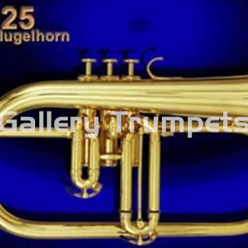 Kanstul Fliscorno CHICAGO 1025 - Lacado - Imagen 1