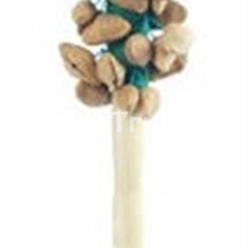 Maraca Pangi - Imagen 1