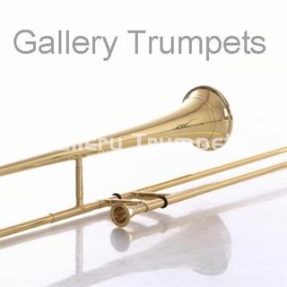 NARTISS Sacabuche Tenor Lacado - Imagen 1