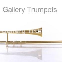 NARTISS Sacabuche Tenor Lacado - Imagen 2