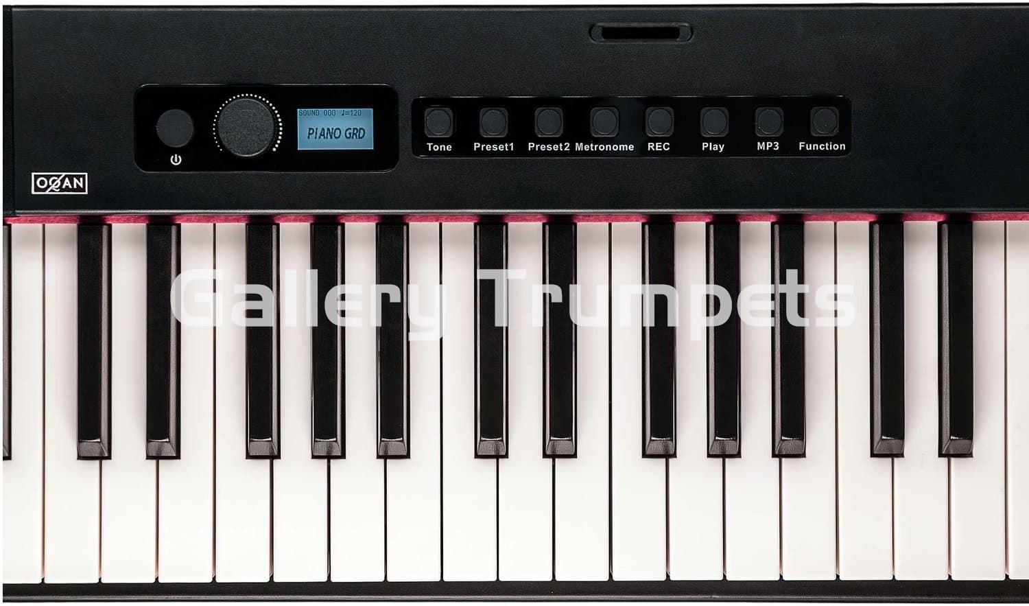 Oqan QP100 Teclado digital 88 teclas contrapesadas. - Imagen 2