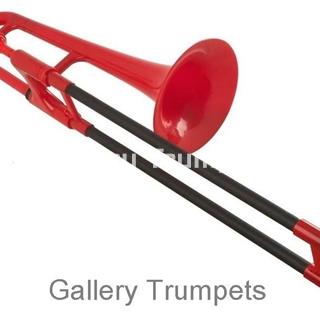 pBone mini - Imagen 1