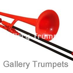 pBone - Imagen 1