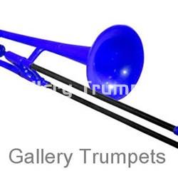 pBone - Imagen 2