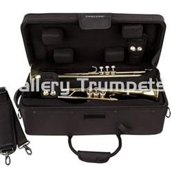 Pro Tec IP301D - ipac Dos Trompetas - Imagen 2