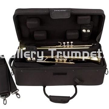 Pro Tec IP301D - ipac Dos Trompetas - Imagen 2