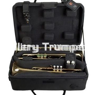 Pro Tec IP301T - iPAC ESTUCHE 3 TROMPETAS - Imagen 2