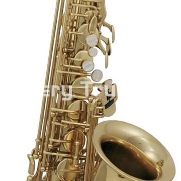 Roy Benson AS-202 Saxo Alto - Imagen 1