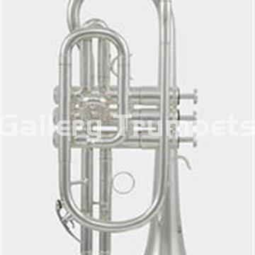 ROY BENSON CR-202S - Corneta Bb Plateada - Imagen 1