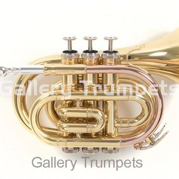 Roy Benson PT-101 Trompeta Pocket Lacada - Imagen 1