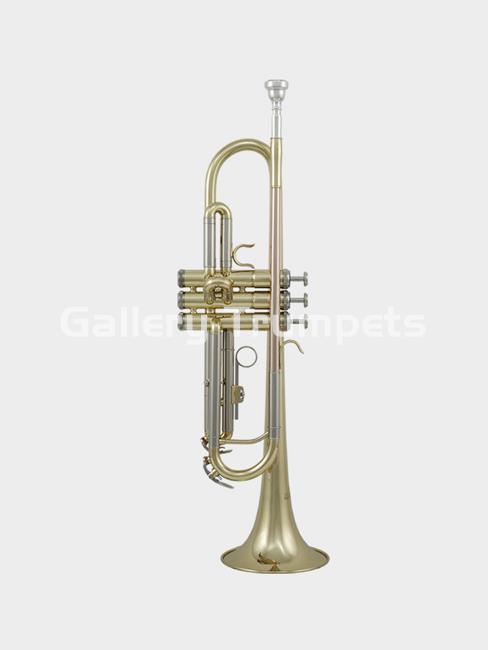 ROY BENSON TR-202 - Trompeta Bb Lacada - Imagen 1