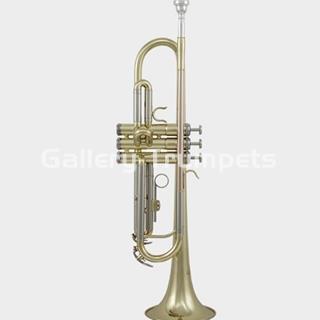 ROY BENSON TR-202 - Trompeta Bb Lacada - Imagen 1