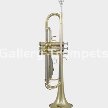 ROY BENSON TR-202 - Trompeta Bb Lacada - Imagen 1