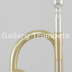 ROY BENSON TR-202 - Trompeta Bb Lacada - Imagen 2