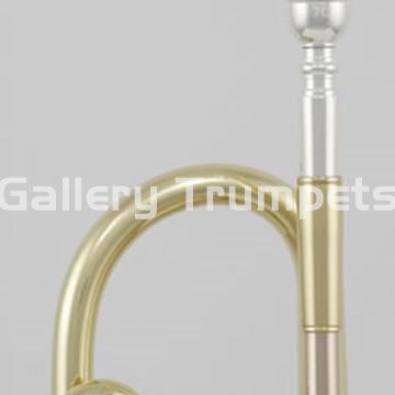 ROY BENSON TR-202 - Trompeta Bb Lacada - Imagen 2