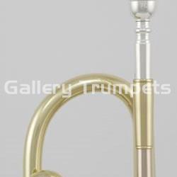 ROY BENSON TR-202S - Trompeta Bb Plateada - Imagen 2