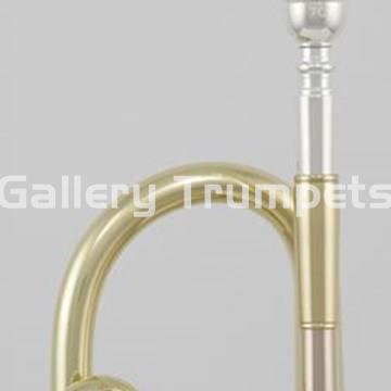 ROY BENSON TR-202S - Trompeta Bb Plateada - Imagen 2