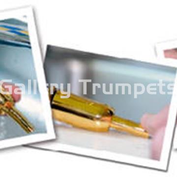 Schagerl APREDATO - Plateada - Imagen 2