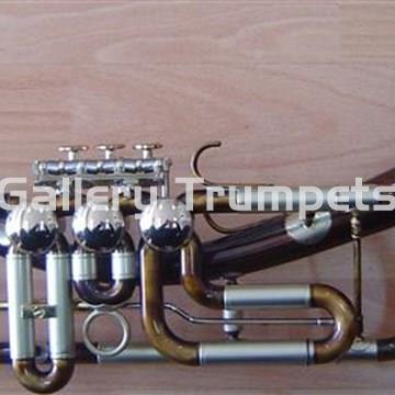 Schagerl "D2" GANSHORN - Imagen 1