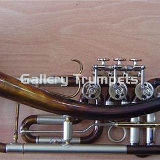 Schagerl "D2" GANSHORN - Imagen 2