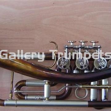 Schagerl "D2" GANSHORN - Imagen 2