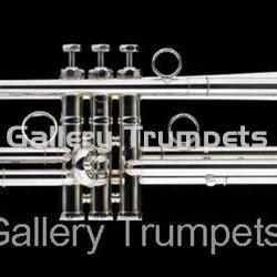 Schagerl "JM1" Edición James Morrison - Plateada - Imagen 1