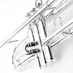 Schagerl "JM1" Edición James Morrison - Plateada - Imagen 2