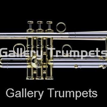 Schagerl "JM1" Edición James Morrison - Imagen 1