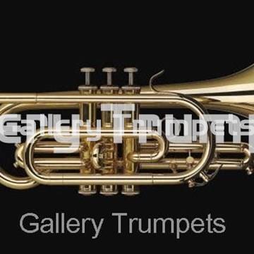 Schagerl K451L - Corneta Bb Lacada - Imagen 1