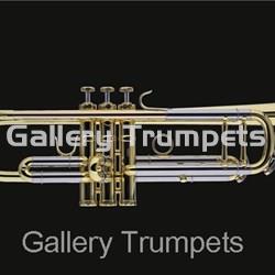 Schagerl TR-610L Trompeta Bb Lacada - Imagen 1